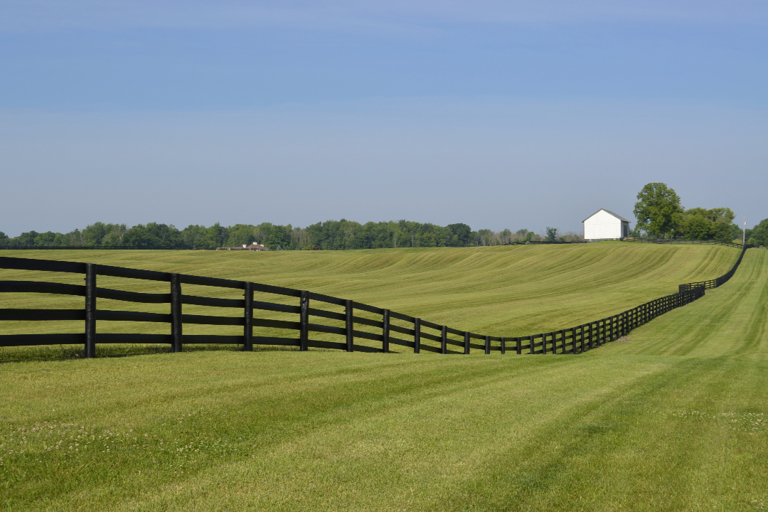 Rural Fencing