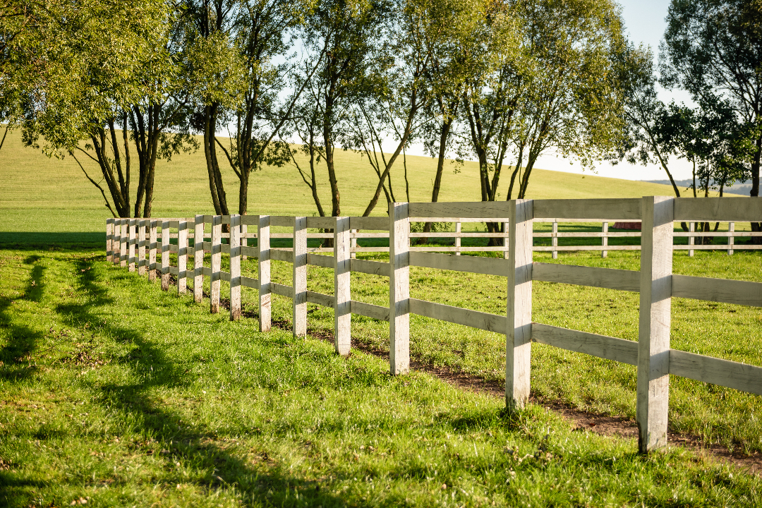Rural Fencing