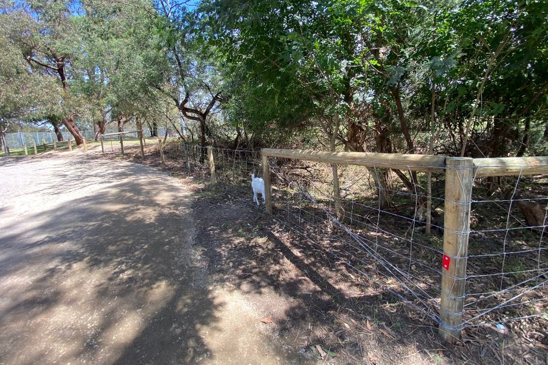 Rural Fencing Rural Fencing